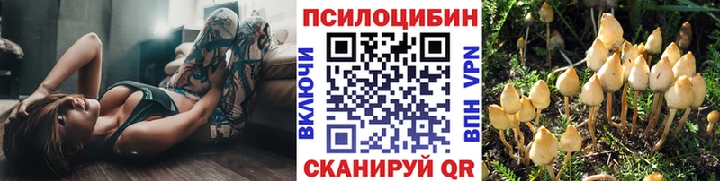 Галлюциногенные грибы Psilocybe  hydra рабочий сайт  Азов 